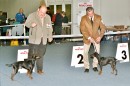 Lesley Black Princess vom L�rchenbruch und Corduroys Born To Win 